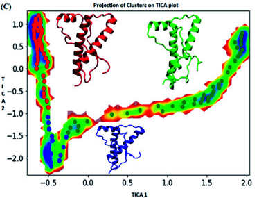 Protein folding studies