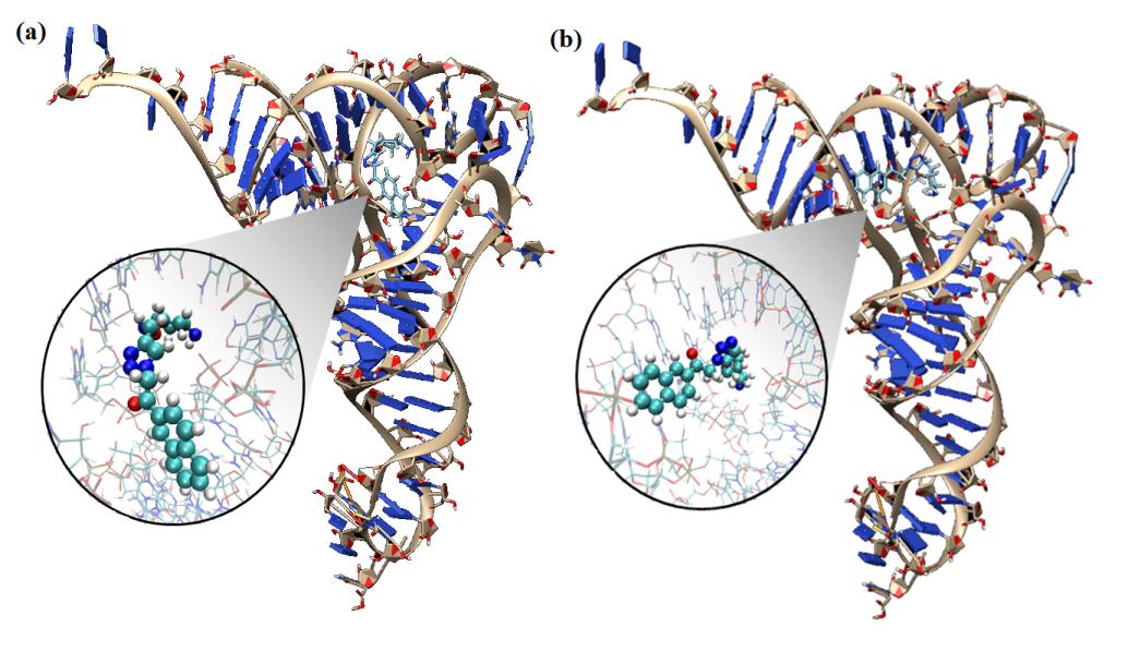 RNAi (siRNA) Simulations