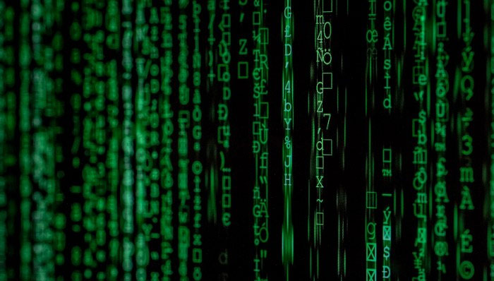 The Free Press Journal