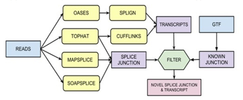 Flow-chart of Sequence-based classifier